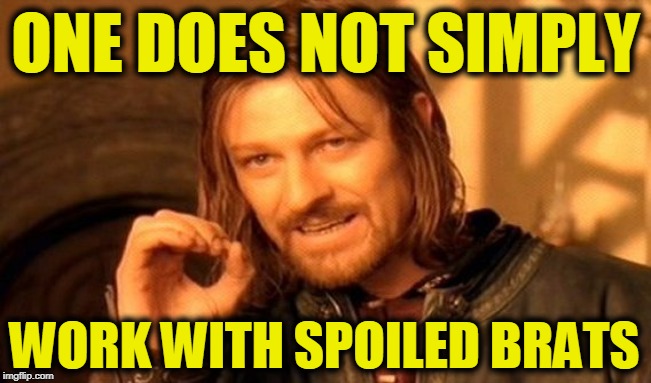 One Does Not Simply Meme | ONE DOES NOT SIMPLY WORK WITH SPOILED BRATS | image tagged in memes,one does not simply | made w/ Imgflip meme maker