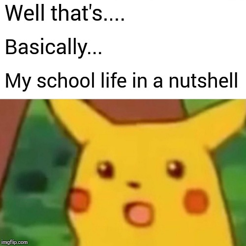 Surprised Pikachu Meme | Well that's.... Basically... My school life in a nutshell | image tagged in memes,surprised pikachu | made w/ Imgflip meme maker