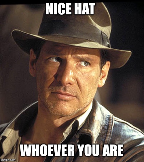Indiana jones | NICE HAT WHOEVER YOU ARE | image tagged in indiana jones | made w/ Imgflip meme maker