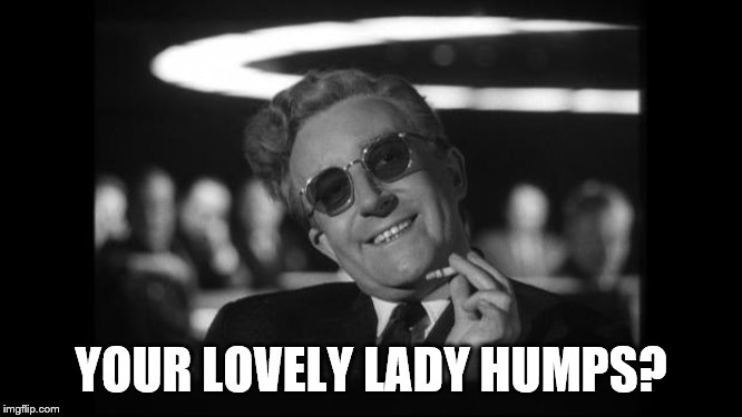 dr strangelove | YOUR LOVELY LADY HUMPS? | image tagged in dr strangelove | made w/ Imgflip meme maker