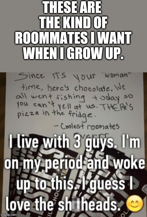 To the gentlemen who stalk this stream: this is the appropriate response to a menstruating roommate. | THESE ARE THE KIND OF ROOMMATES I WANT WHEN I GROW UP. | image tagged in period,good guy greg,memes,roommates | made w/ Imgflip meme maker