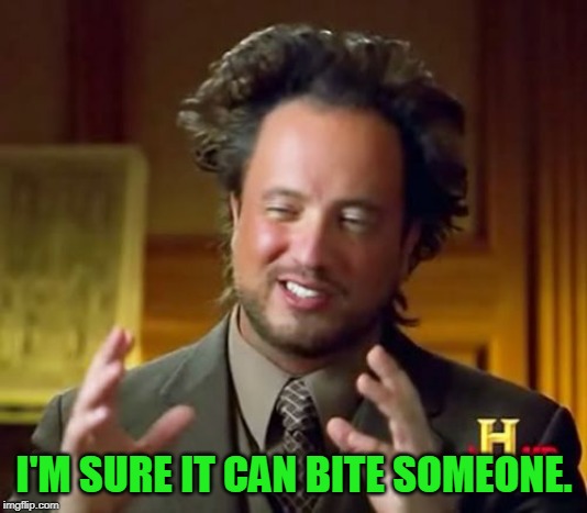 Ancient Aliens Meme | I'M SURE IT CAN BITE SOMEONE. | image tagged in memes,ancient aliens | made w/ Imgflip meme maker
