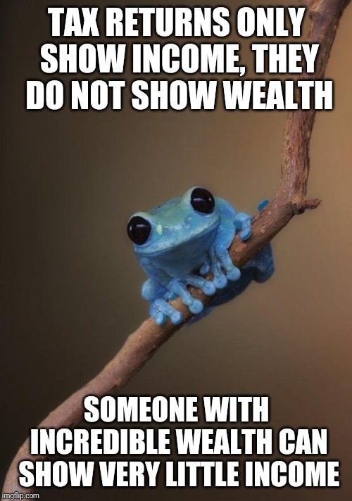 small fact frog | TAX RETURNS ONLY SHOW INCOME, THEY DO NOT SHOW WEALTH SOMEONE WITH INCREDIBLE WEALTH CAN SHOW VERY LITTLE INCOME | image tagged in small fact frog | made w/ Imgflip meme maker