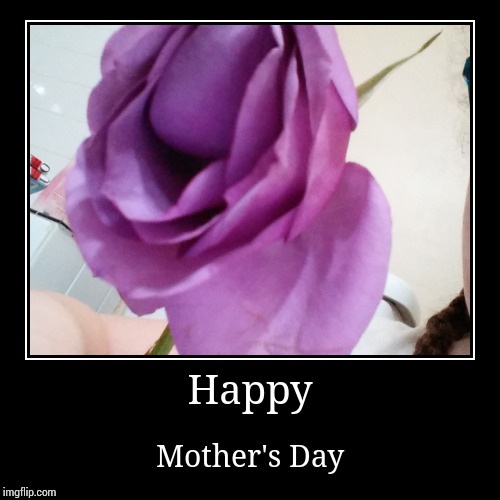 Happy Mother's Day btw if you don't have a mother I'm sorry if you were offended by this demotivational | image tagged in happy mother's day,demotivationals | made w/ Imgflip demotivational maker