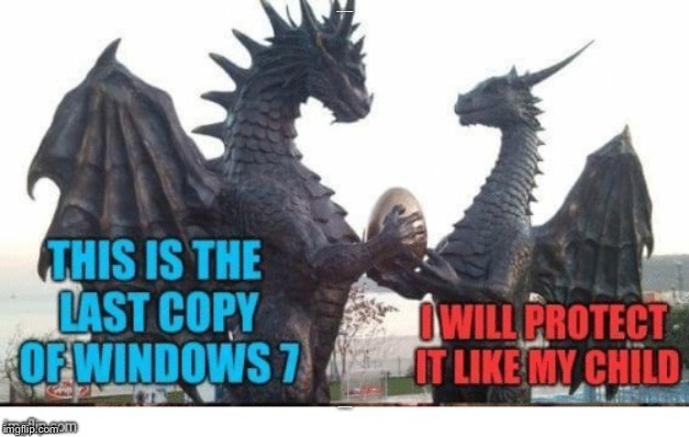 Repost of AndrewFinlayson.... happy Mother’s Day!!! | THIS IS THE LAST COPY OF WINDOWS 7; I WILL PROTECT IT LIKE MY CHILD | image tagged in memes,mothers day,happy mother's day | made w/ Imgflip meme maker