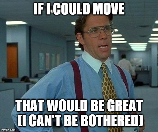 That Would Be Great Meme | IF I COULD MOVE THAT WOULD BE GREAT (I CAN'T BE BOTHERED) | image tagged in memes,that would be great | made w/ Imgflip meme maker