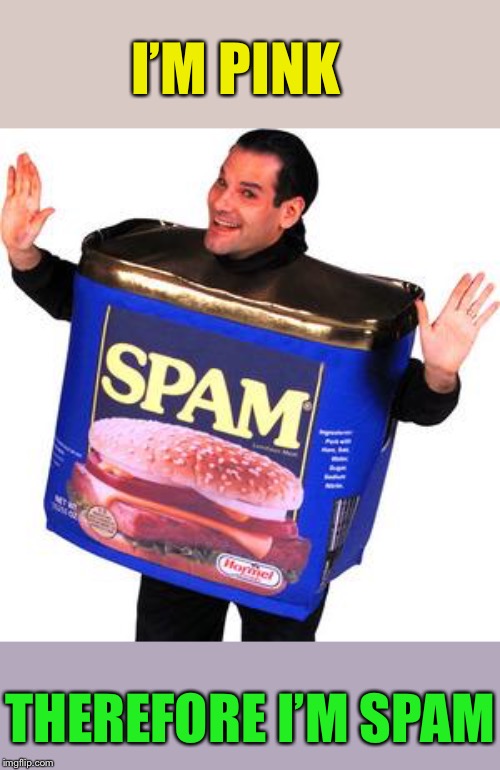 OMNI And his SPAM | I’M PINK THEREFORE I’M SPAM | image tagged in omni and his spam | made w/ Imgflip meme maker