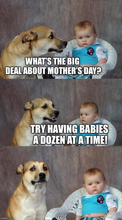 Dad Joke Dog | WHAT’S THE BIG DEAL ABOUT MOTHER’S DAY? TRY HAVING BABIES A DOZEN AT A TIME! | image tagged in memes,dad joke dog | made w/ Imgflip meme maker