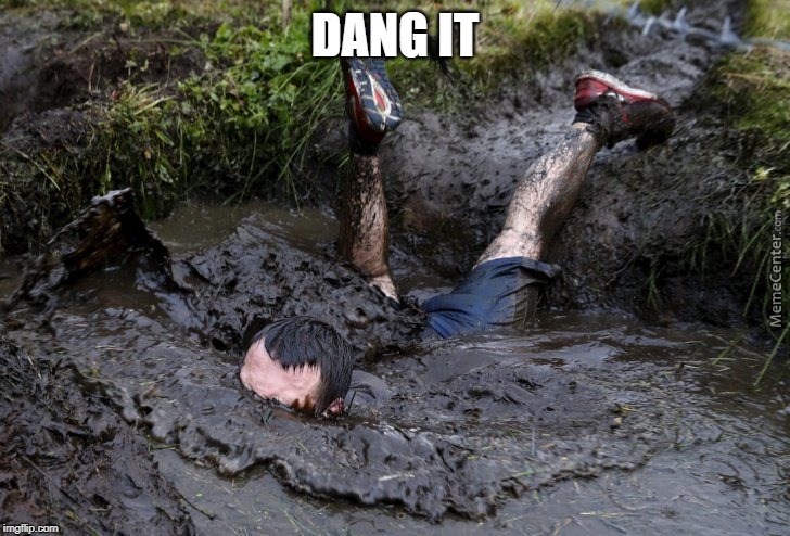 Mud flop | DANG IT | image tagged in mud flop | made w/ Imgflip meme maker
