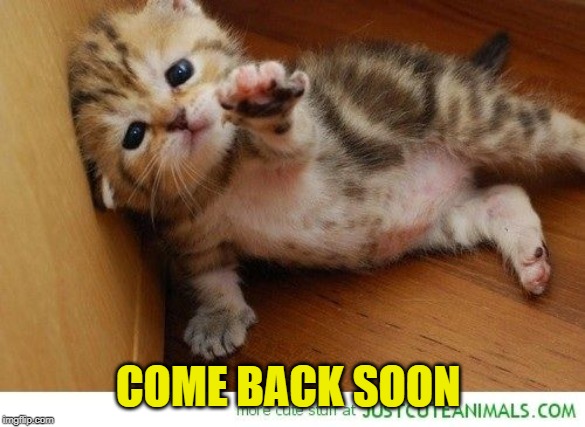 Weekend NOOOO! Come back. Come back!  | COME BACK SOON | image tagged in weekend noooo come back come back | made w/ Imgflip meme maker