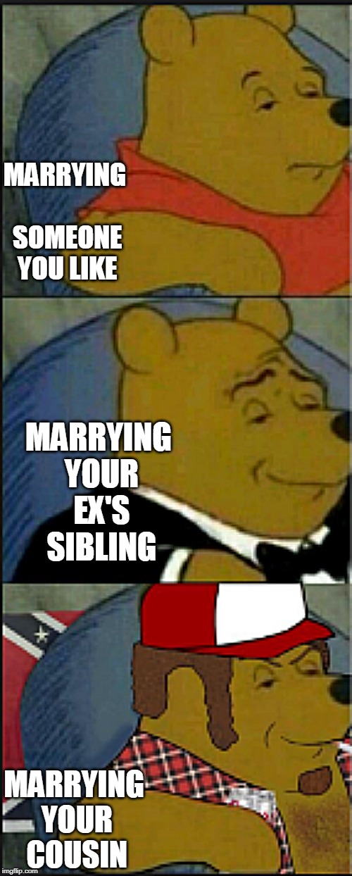 Winne the Pooh Tuxedo, Redneck, and regular | MARRYING SOMEONE YOU LIKE; MARRYING YOUR EX'S SIBLING; MARRYING YOUR COUSIN | image tagged in winne the pooh tuxedo redneck and regular | made w/ Imgflip meme maker