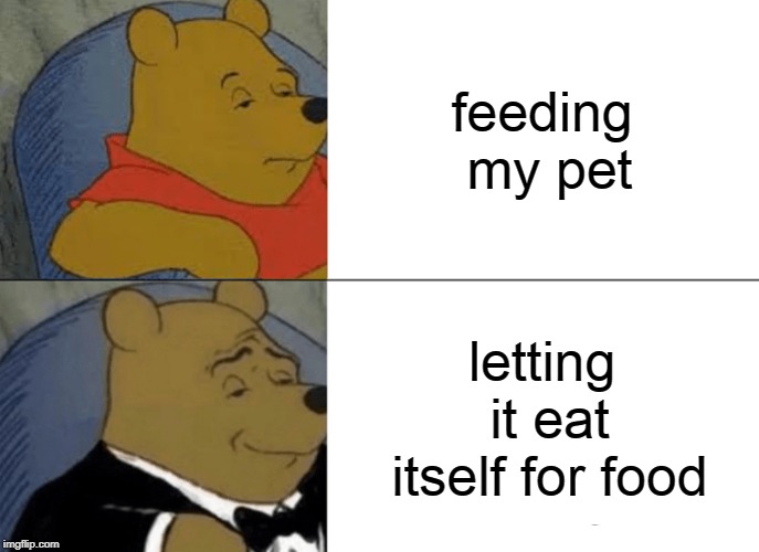 Tuxedo Winnie The Pooh Meme | feeding my pet; letting it eat itself for food | image tagged in memes,tuxedo winnie the pooh | made w/ Imgflip meme maker