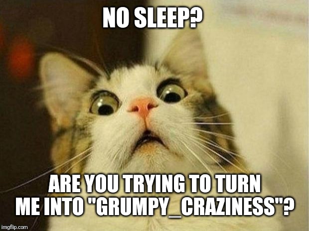 Scared Cat Meme | NO SLEEP? ARE YOU TRYING TO TURN ME INTO "GRUMPY_CRAZINESS"? | image tagged in memes,scared cat | made w/ Imgflip meme maker