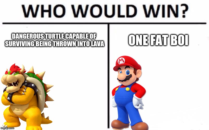 Who Would Win? Meme | DANGEROUS TURTLE CAPABLE OF SURVIVING BEING THROWN INTO LAVA; ONE FAT BOI | image tagged in memes,who would win | made w/ Imgflip meme maker