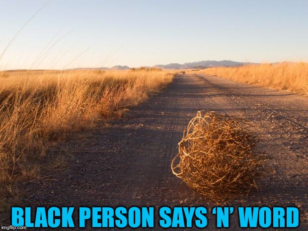 Tumbleweed | BLACK PERSON SAYS ‘N’ WORD | image tagged in tumbleweed | made w/ Imgflip meme maker