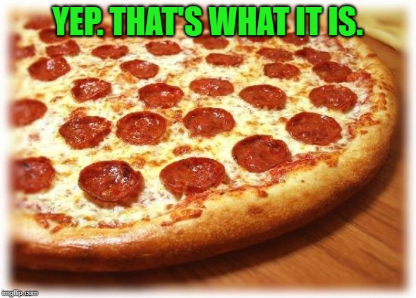 Coming out pizza  | YEP. THAT'S WHAT IT IS. | image tagged in coming out pizza | made w/ Imgflip meme maker