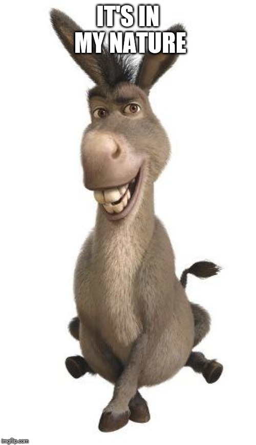 Donkey from Shrek | IT'S IN MY NATURE | image tagged in donkey from shrek | made w/ Imgflip meme maker