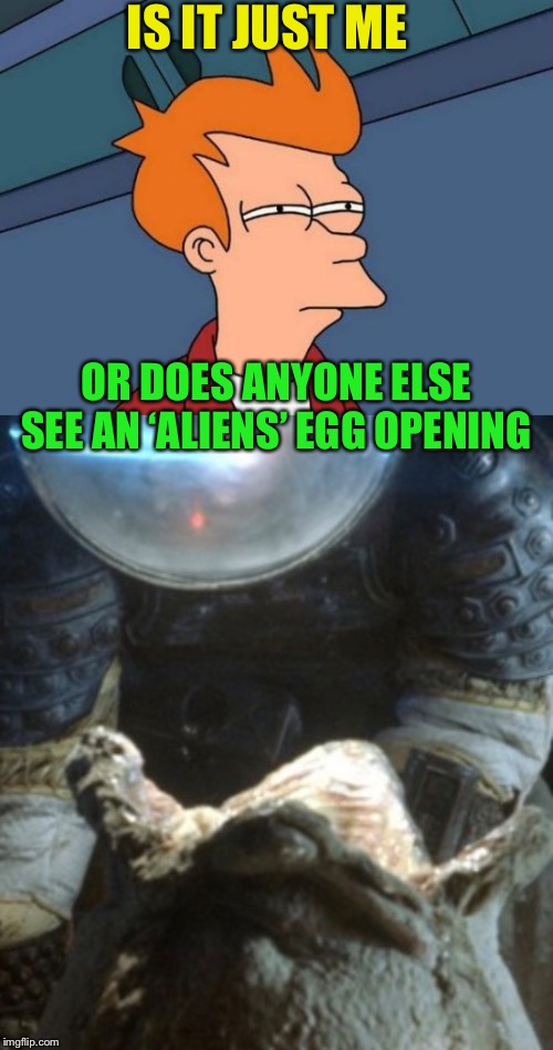 IS IT JUST ME OR DOES ANYONE ELSE SEE AN ‘ALIENS’ EGG OPENING | image tagged in memes,futurama fry | made w/ Imgflip meme maker