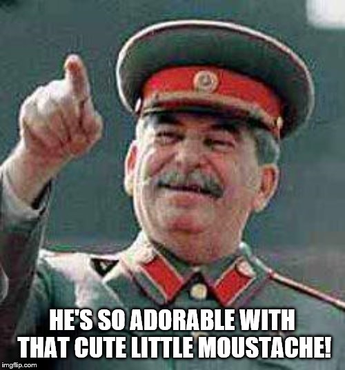 Stalin says | HE'S SO ADORABLE WITH THAT CUTE LITTLE MOUSTACHE! | image tagged in stalin says | made w/ Imgflip meme maker