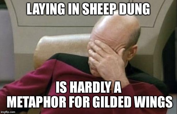 Captain Picard Facepalm Meme | LAYING IN SHEEP DUNG IS HARDLY A METAPHOR FOR GILDED WINGS | image tagged in memes,captain picard facepalm | made w/ Imgflip meme maker