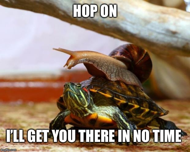 snail on a turtle | HOP ON I’LL GET YOU THERE IN NO TIME | image tagged in snail on a turtle | made w/ Imgflip meme maker