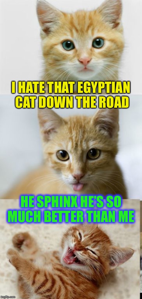 In de Nile. | I HATE THAT EGYPTIAN CAT DOWN THE ROAD; HE SPHINX HE’S SO MUCH BETTER THAN ME | image tagged in bad pun cat,the great sphinx,jealousy,bad pun | made w/ Imgflip meme maker
