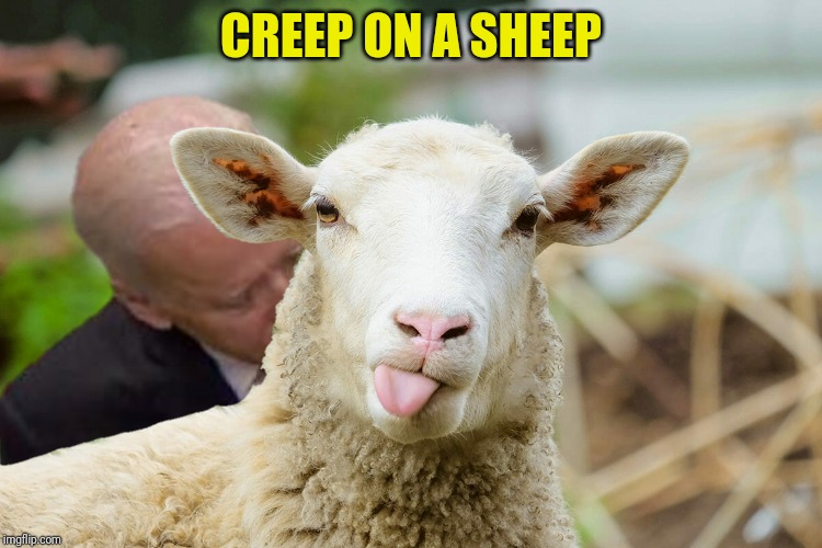 CREEP ON A SHEEP | made w/ Imgflip meme maker