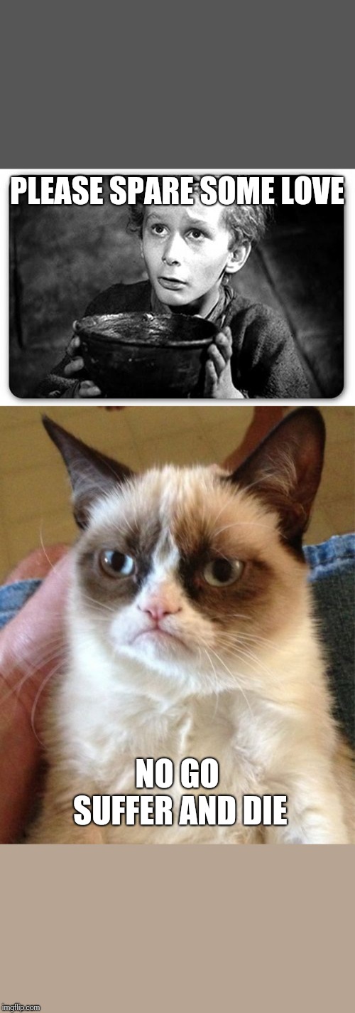 PLEASE SPARE SOME LOVE; NO GO SUFFER AND DIE | image tagged in memes,grumpy cat,beggar | made w/ Imgflip meme maker