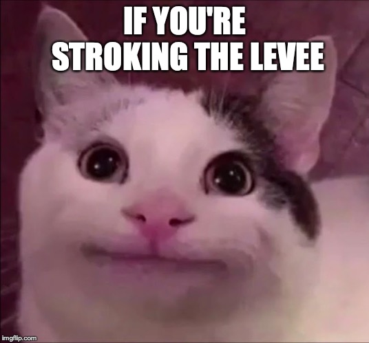 Awkward Smile Cat | IF YOU'RE STROKING THE LEVEE | image tagged in awkward smile cat | made w/ Imgflip meme maker
