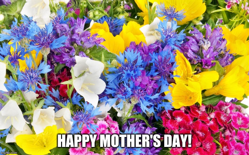 Happy Mother's Day! | HAPPY MOTHER'S DAY! | image tagged in 2019,holiday,mothers day,flowers | made w/ Imgflip meme maker