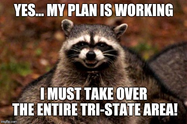 Evil Plotting Raccoon | YES... MY PLAN IS WORKING; I MUST TAKE OVER THE ENTIRE TRI-STATE AREA! | image tagged in memes,evil plotting raccoon | made w/ Imgflip meme maker