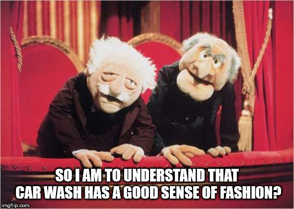 Muppet Critics | SO I AM TO UNDERSTAND THAT CAR WASH HAS A GOOD SENSE OF FASHION? | image tagged in muppet critics | made w/ Imgflip meme maker