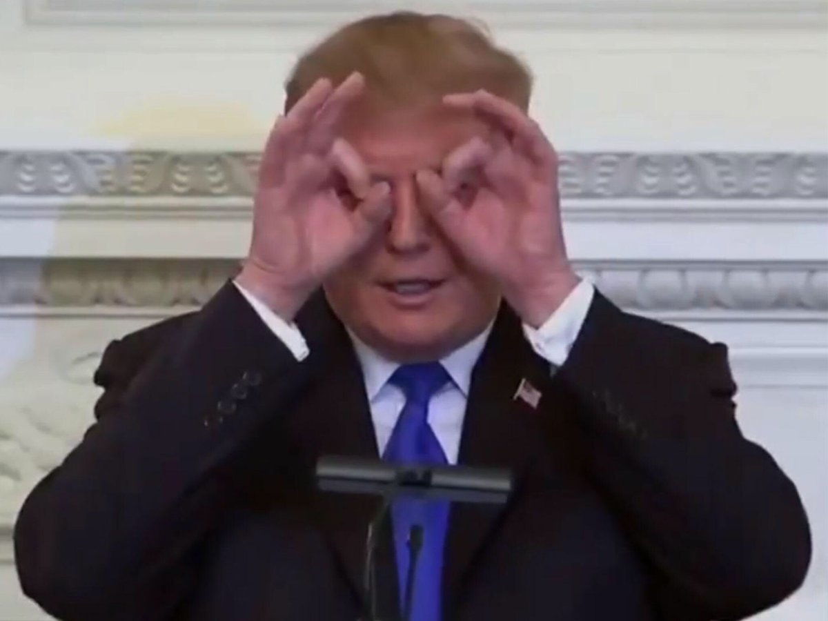 Trump Pretend Glasses Blank Meme Template