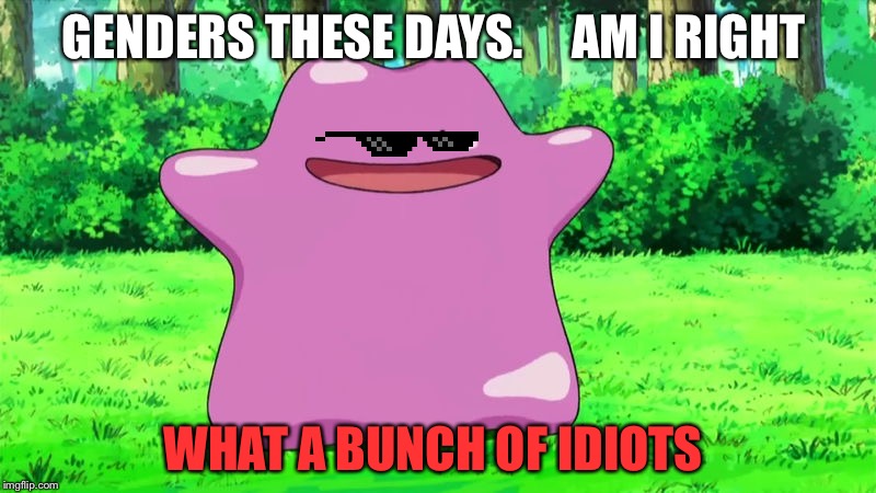 ditto | GENDERS THESE DAYS. 



AM I RIGHT; WHAT A BUNCH OF IDIOTS | image tagged in ditto | made w/ Imgflip meme maker