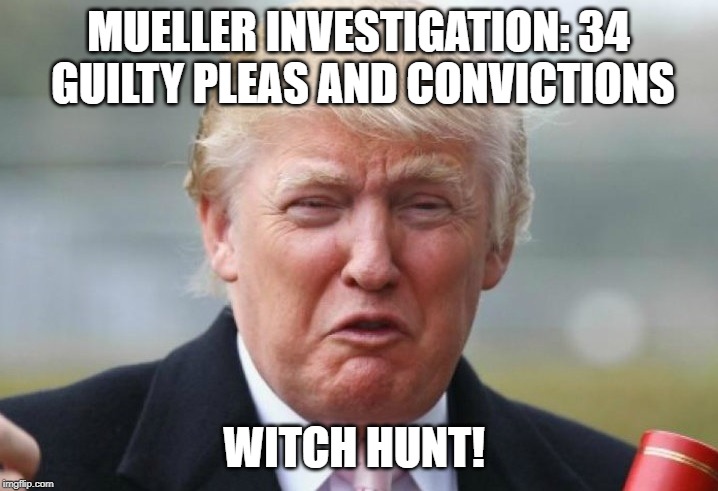 Trump Crybaby | MUELLER INVESTIGATION: 34 GUILTY PLEAS AND CONVICTIONS; WITCH HUNT! | image tagged in trump crybaby | made w/ Imgflip meme maker