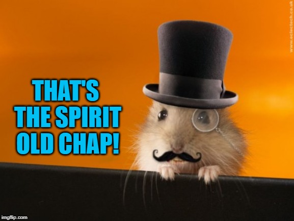 old chap | THAT'S THE SPIRIT OLD CHAP! | image tagged in old chap | made w/ Imgflip meme maker