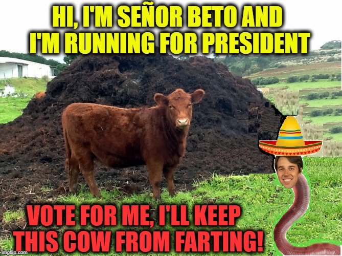 Open Border Beto is 100% Traitor to Texas | HI, I'M SEÑOR BETO AND I'M RUNNING FOR PRESIDENT; VOTE FOR ME, I'LL KEEP  THIS COW FROM FARTING! | image tagged in vince vance,ted cruz,beto,robert francis o'rourke,cow farts,open borders | made w/ Imgflip meme maker