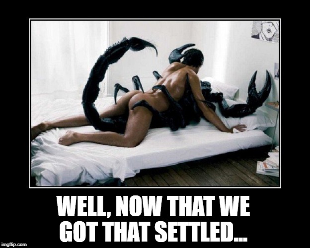 I was a Scorpion in a Former Life | WELL, NOW THAT WE GOT THAT SETTLED... | image tagged in vince vance,intercourse,making love,having sex,scorpion,intraspecies dating | made w/ Imgflip meme maker