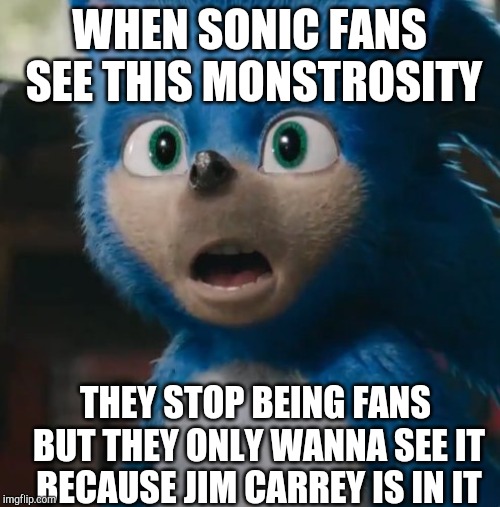 Sonic Movie | WHEN SONIC FANS SEE THIS MONSTROSITY; THEY STOP BEING FANS BUT THEY ONLY WANNA SEE IT BECAUSE JIM CARREY IS IN IT | image tagged in sonic movie | made w/ Imgflip meme maker