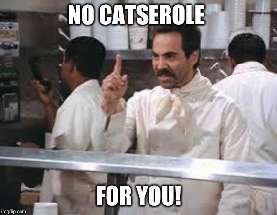 No soup | NO CATSEROLE FOR YOU! | image tagged in no soup | made w/ Imgflip meme maker