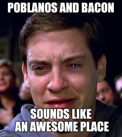 crying peter parker | POBLANOS AND BACON SOUNDS LIKE AN AWESOME PLACE | image tagged in crying peter parker | made w/ Imgflip meme maker