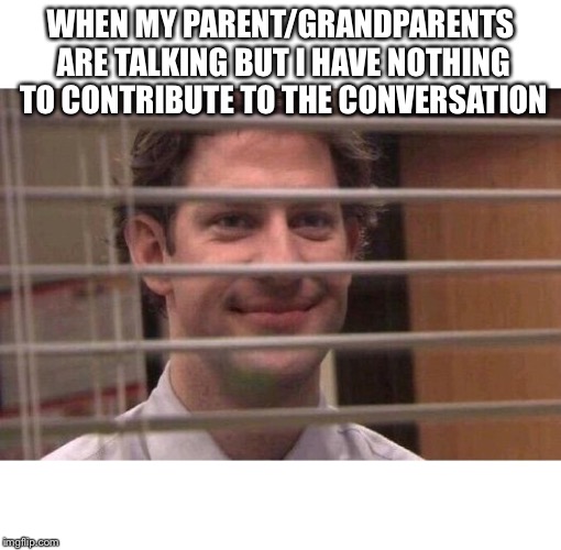 Jim Office Blinds | WHEN MY PARENT/GRANDPARENTS ARE TALKING BUT I HAVE NOTHING TO CONTRIBUTE TO THE CONVERSATION | image tagged in jim office blinds | made w/ Imgflip meme maker