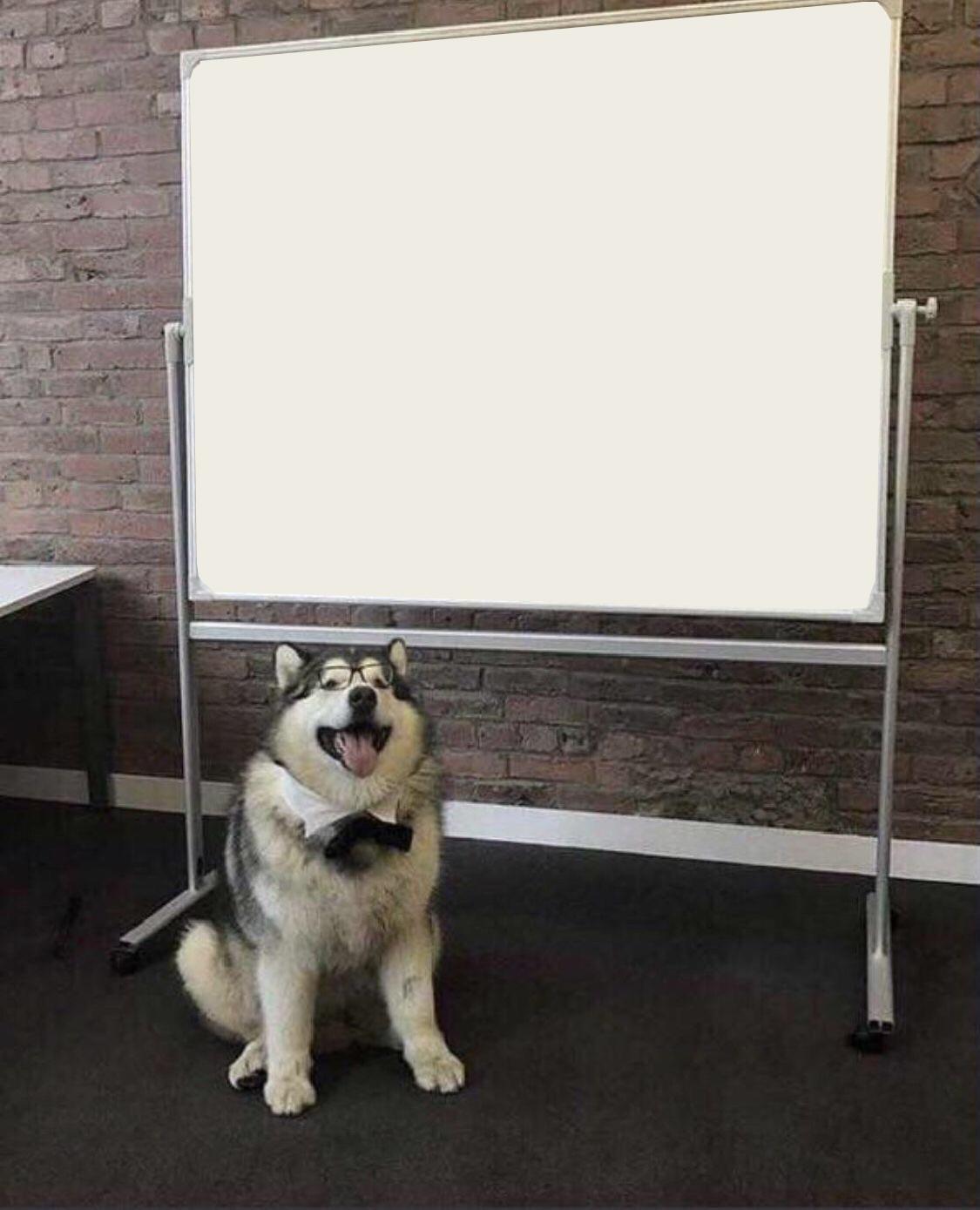 High Quality Professor Doggo Blank Meme Template