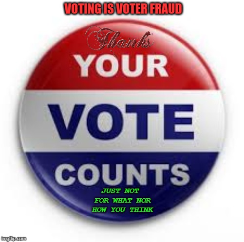 Vote | VOTING IS VOTER FRAUD; JUST NOT FOR WHAT NOR HOW YOU THINK | image tagged in vote | made w/ Imgflip meme maker