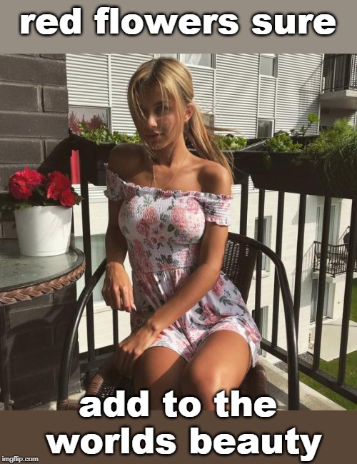 women seem to like flowers.me too.legsetc stream | red flowers sure; add to the worlds beauty | image tagged in beautiful woman,flowers,female form,meme this,legs | made w/ Imgflip meme maker