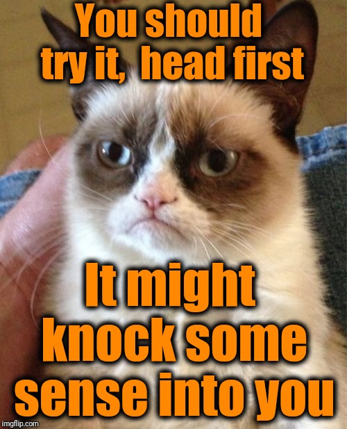 Grumpy Cat Meme | You should try it,  head first It might knock some sense into you | image tagged in memes,grumpy cat | made w/ Imgflip meme maker