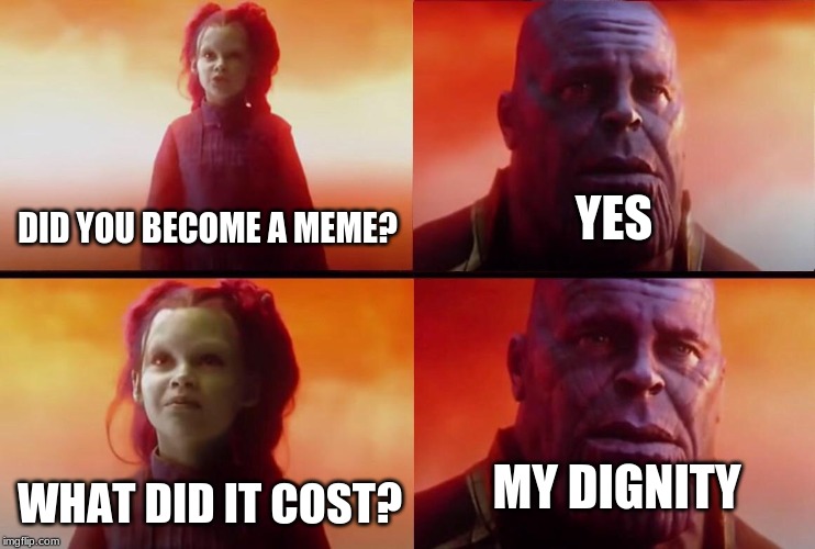 What did it cost? | YES; DID YOU BECOME A MEME? MY DIGNITY; WHAT DID IT COST? | image tagged in what did it cost | made w/ Imgflip meme maker