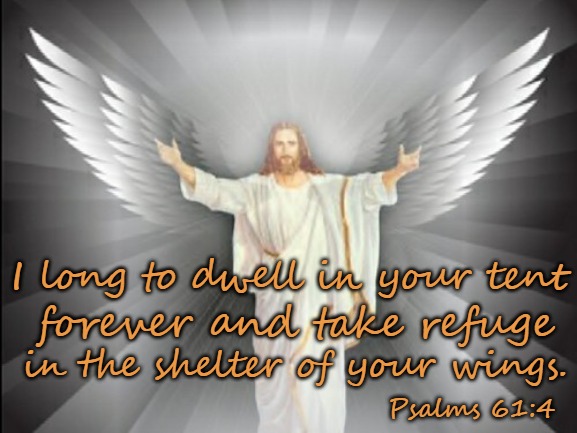 Psalms 61:4 I Long To Dwell In Your Tent Forever And Take Refuge In The Shelter Of Your Wings | I long to dwell in your tent; forever and take refuge; in the shelter of your wings. Psalms 61:4 | image tagged in bible,bible verse,verse,holy bible,holy spirit,god | made w/ Imgflip meme maker