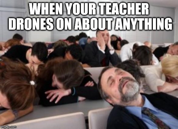 Bored Audience | WHEN YOUR TEACHER DRONES ON ABOUT ANYTHING | image tagged in bored audience | made w/ Imgflip meme maker