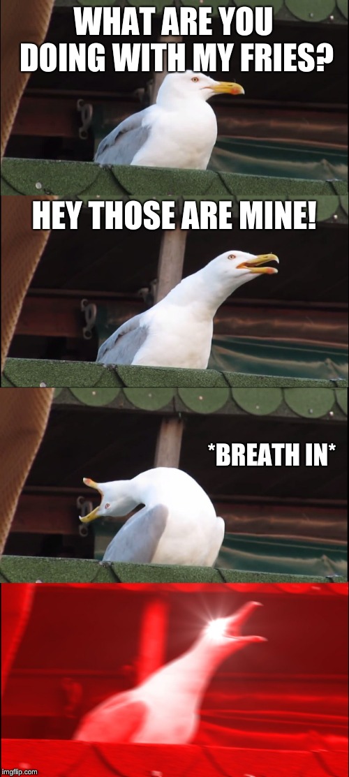 Joey the Seagull | WHAT ARE YOU DOING WITH MY FRIES? HEY THOSE ARE MINE! *BREATH IN* | image tagged in inhaling seagull | made w/ Imgflip meme maker